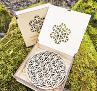 ELVY sustainable business gifts